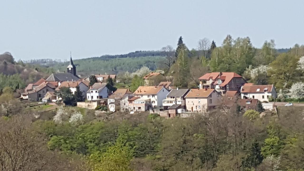 Au Chalet Bain Nordique Neuf Independant Calme Assure Haselbourg Buitenkant foto