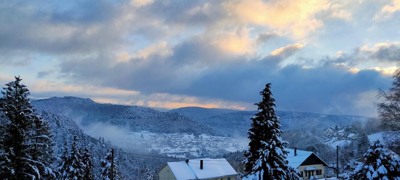 Au Chalet Bain Nordique Neuf Independant Calme Assure Haselbourg Buitenkant foto